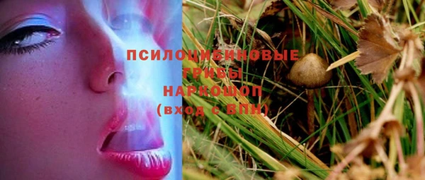 а пвп мука Чегем